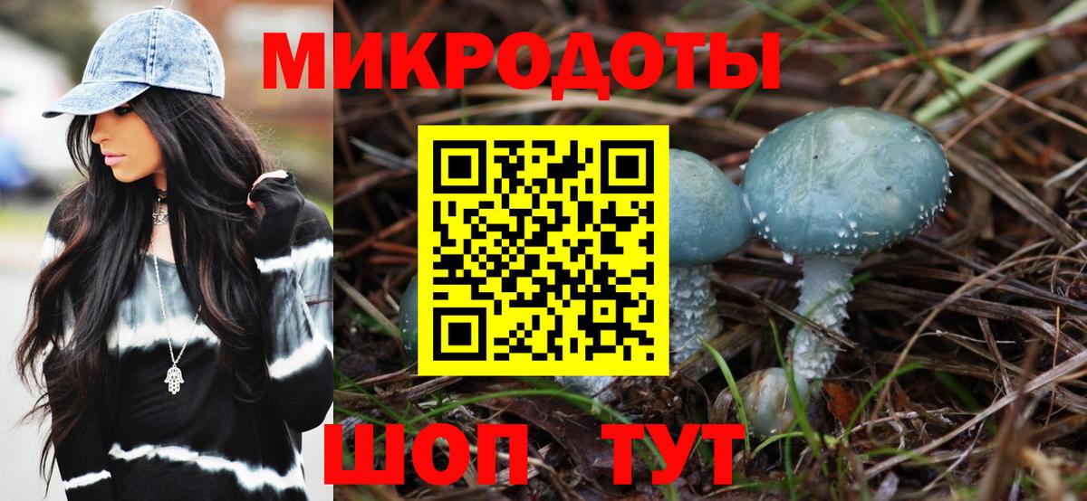 Псилоцибиновые грибы Psilocybe  Псилоцибиновые грибы Cubensis  где можно купить   Минеральные Воды  Вход с VPN 